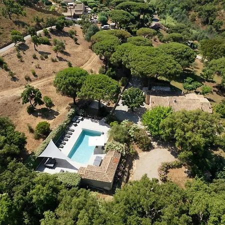 With Pool House Near