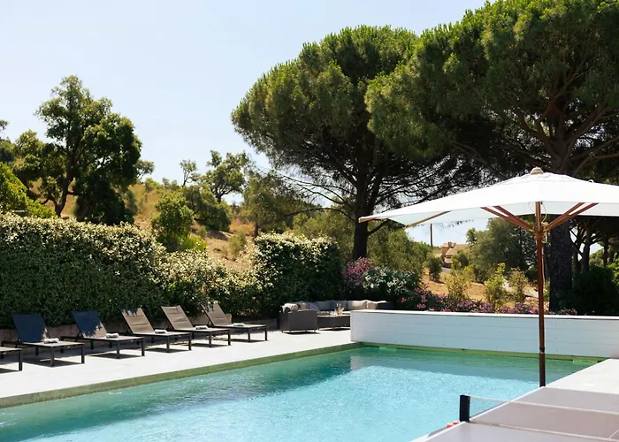 With Pool House Near