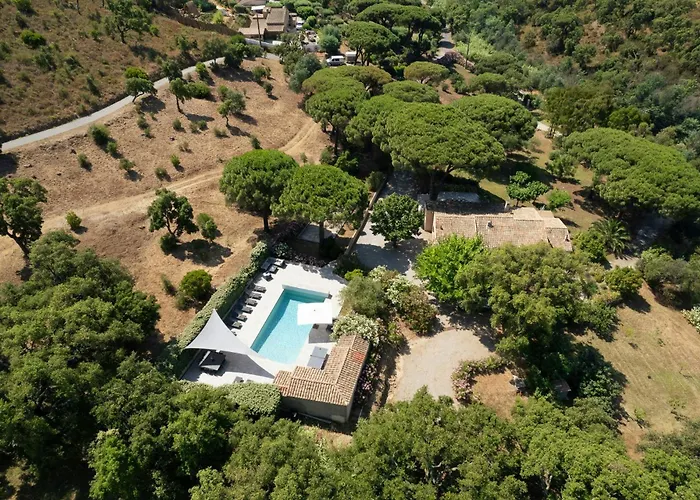 With Pool House Near